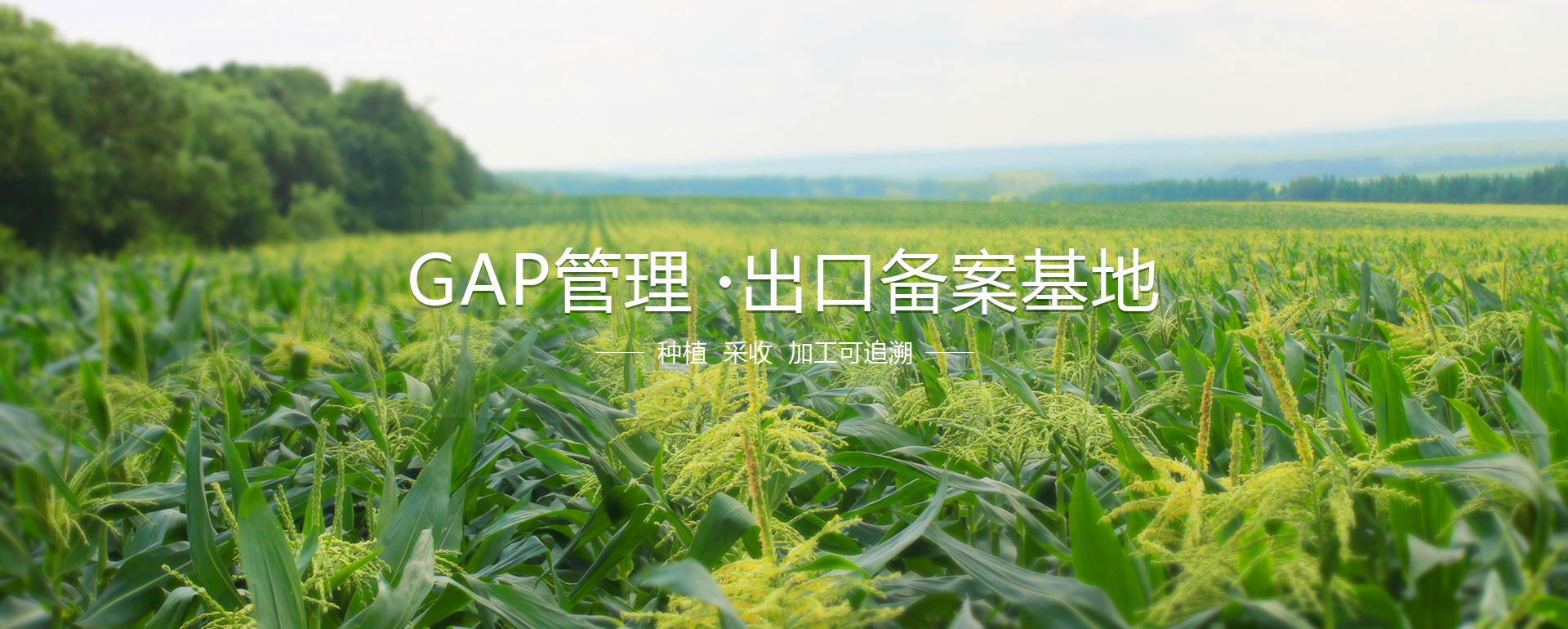 盛华林员工照